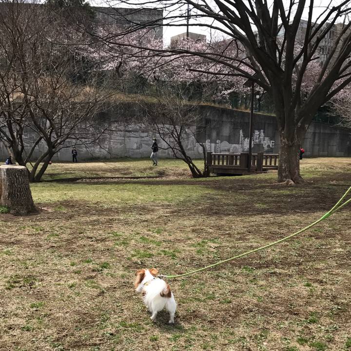 B55a789f 04dc 4372 b708 fd13e195d65a