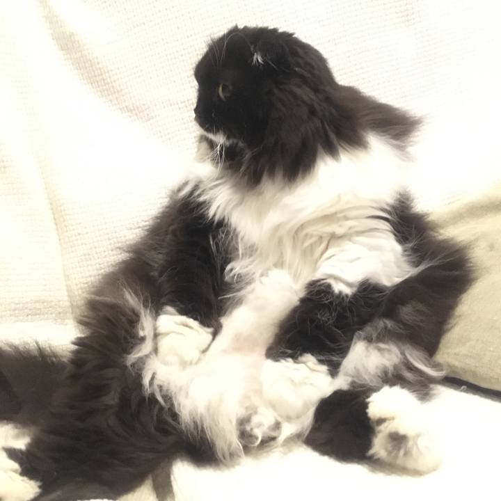 B55a9a5c 8254 4a7f 8cb4 dcc5132e68d0