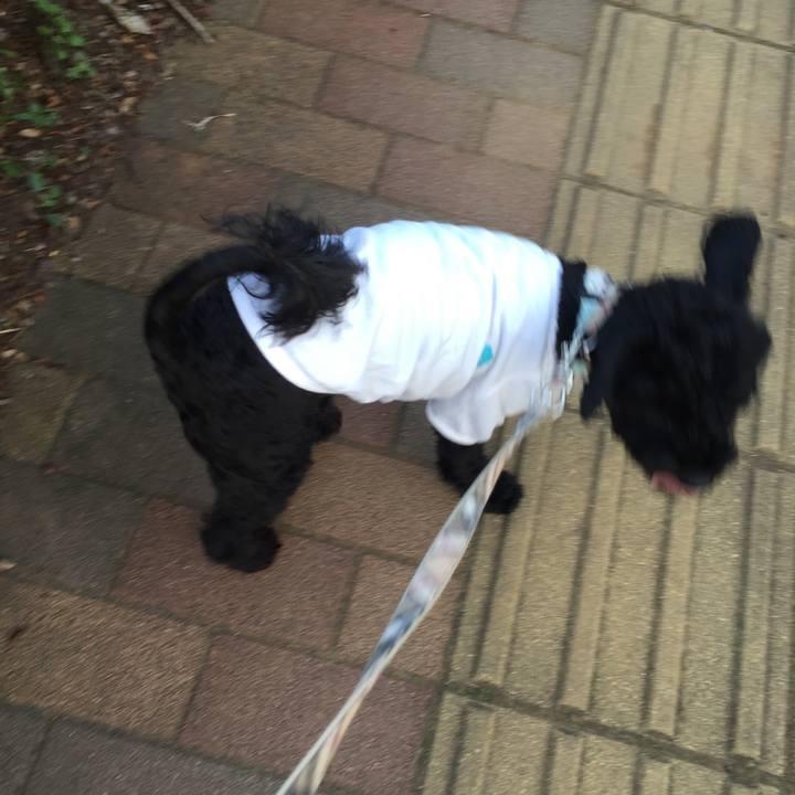 B55b9ef0 436a 4de3 8cb7 a9da467ea1aa