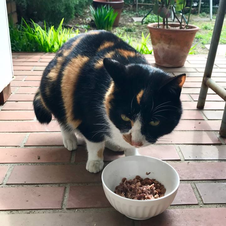 B55cf5fc 4d03 4c1b a6c4 364113db295b