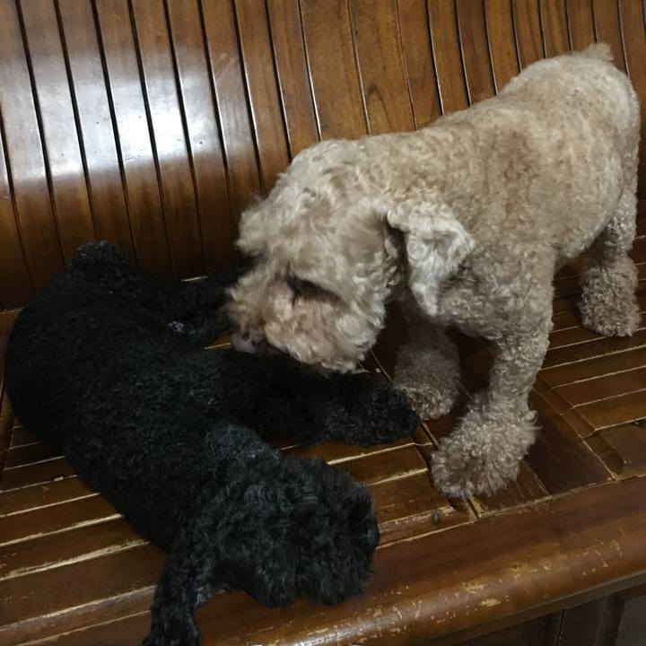 B55d0917 63d7 4c7f 8016 733abbd3c84a