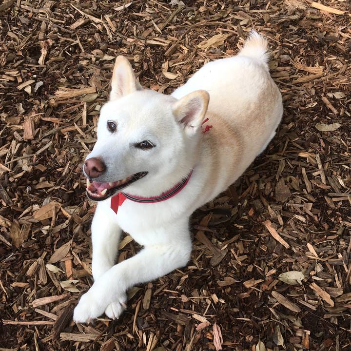 B55db378 52c6 41f4 a6e9 d81fa0484ccf