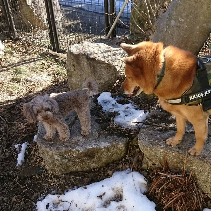 B55e65ba a2f7 479e 8fd2 ab7322a3628c