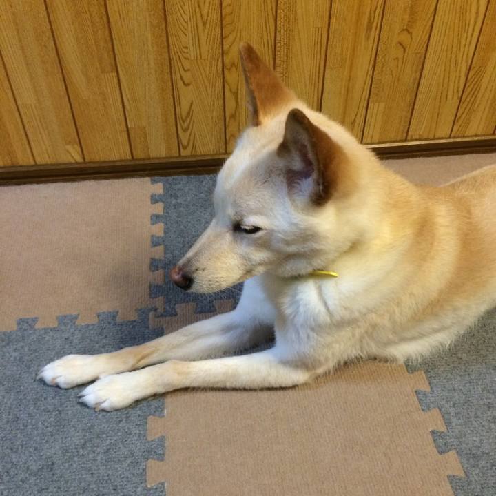 B55e9326 5fbb 4b43 bff9 a8adb1c7a7a6