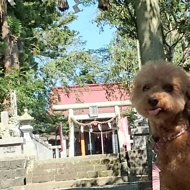 B55f503e c7ad 4b59 aa67 f4a6922ab445