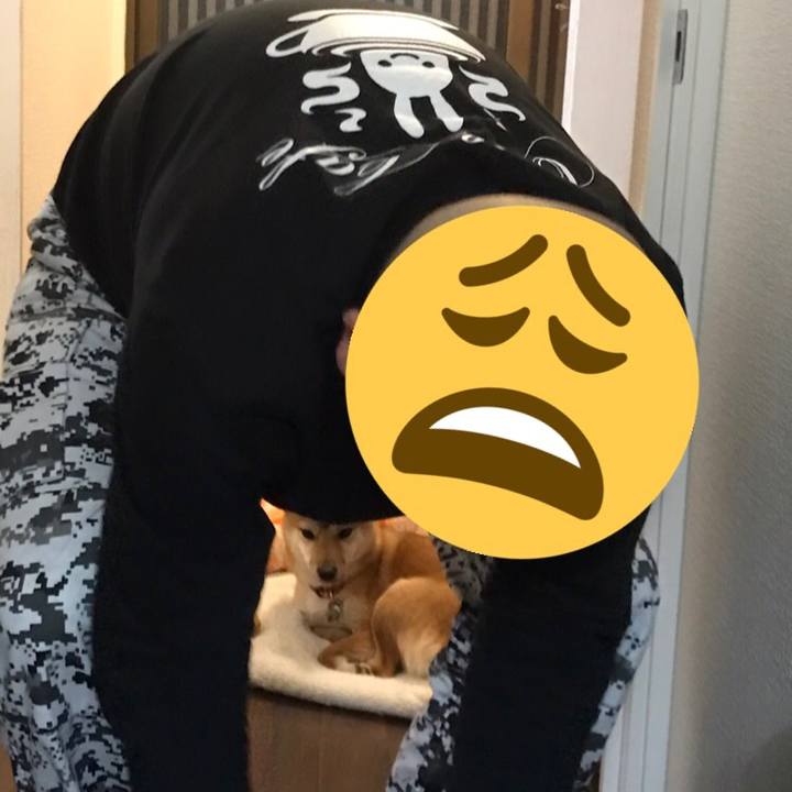 B55f8a51 b76e 435c 81df 63997134fc58