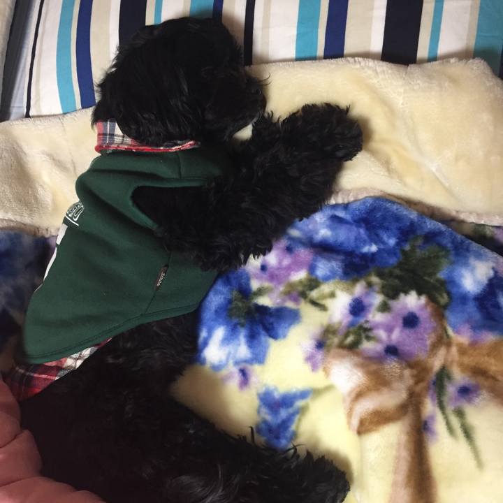 B5600488 a9ad 4e61 b93b 605a830cf82e