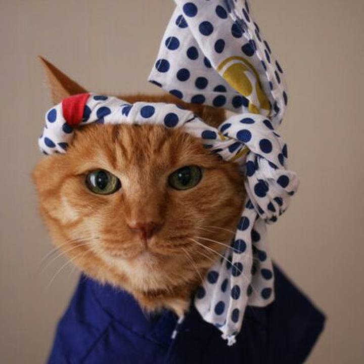 B56062fe 01bf 4263 9779 09fe42aa6ae6