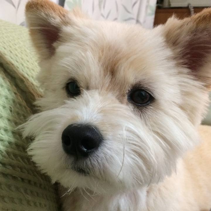 B560d741 d77b 4370 9a68 5e8f0641cb33