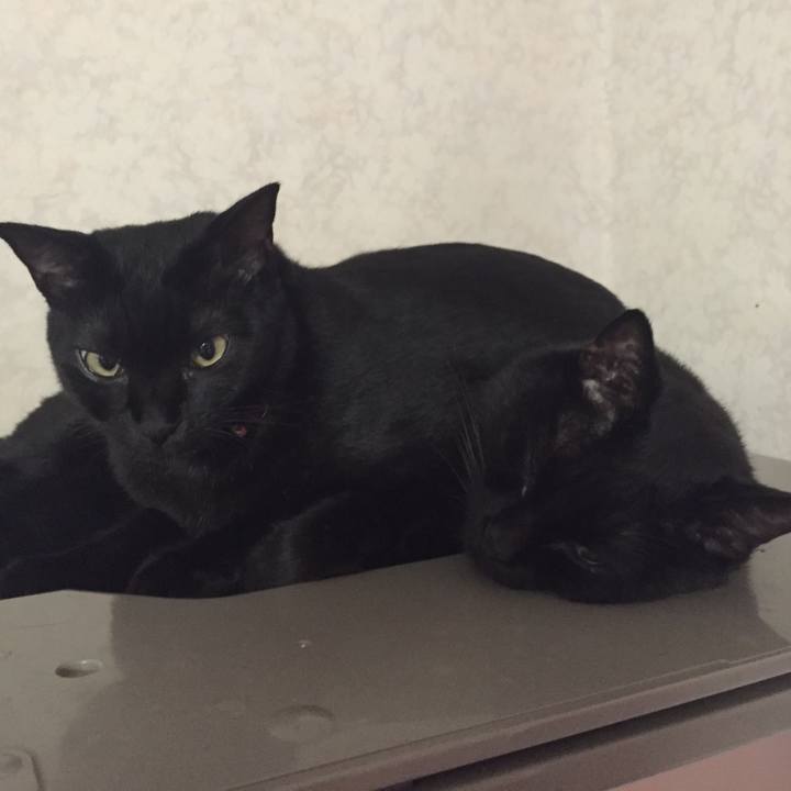 B56184d5 6059 4f91 b293 82b94742e339