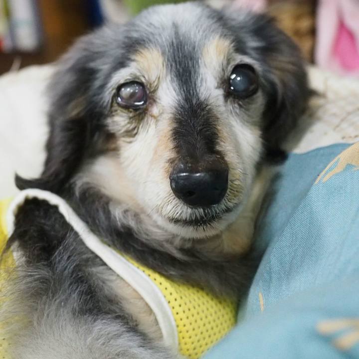 B561f8f9 168b 4b40 9936 f4b8f142d7b4