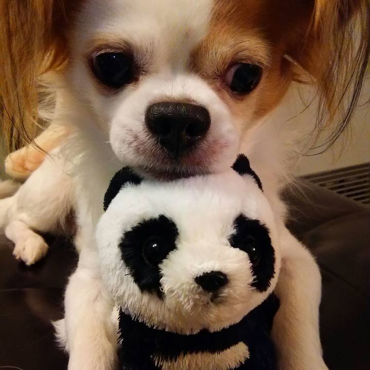 B5651d43 3c70 4fac b6cf dd46c51f47fd