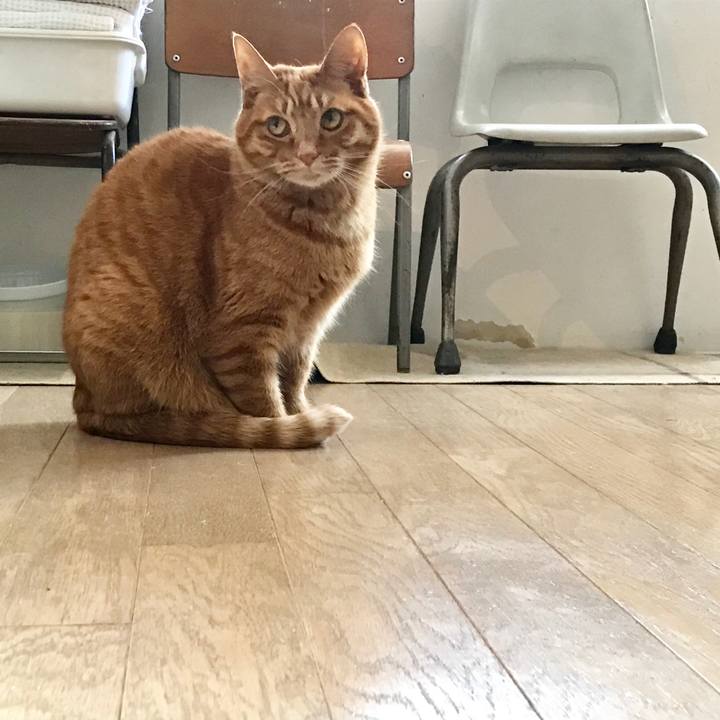 B565277f 23af 482f a8d2 51b093188845