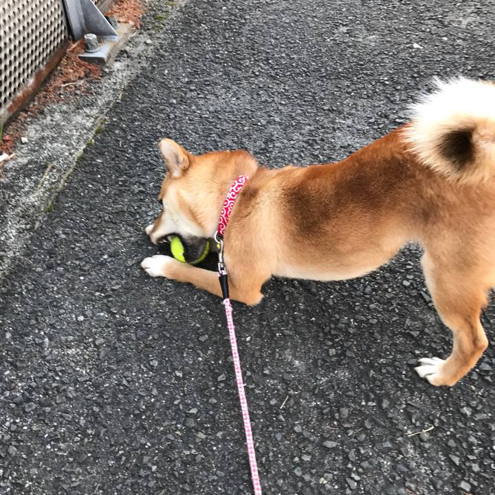 B5660d3c 99f4 4dd8 a997 f1fff3c0af2c