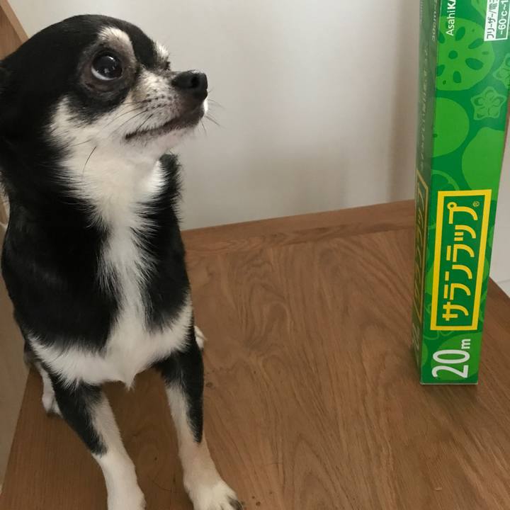 B56641df 0521 47ed 95f0 25bc9f179027