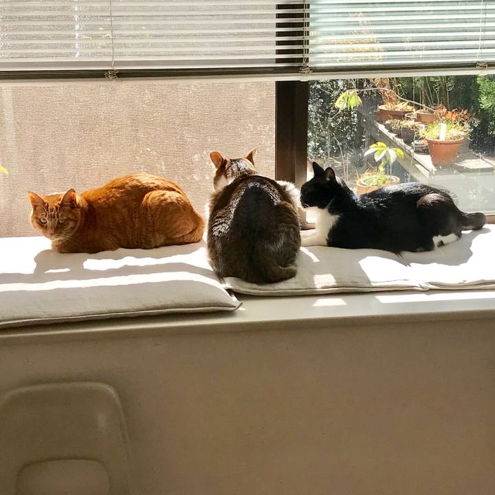 B566cb15 5334 4114 b090 6bb40072b65d