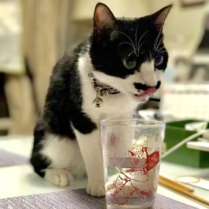 B566f089 7e30 4b08 a7dd 90e96f9c339e