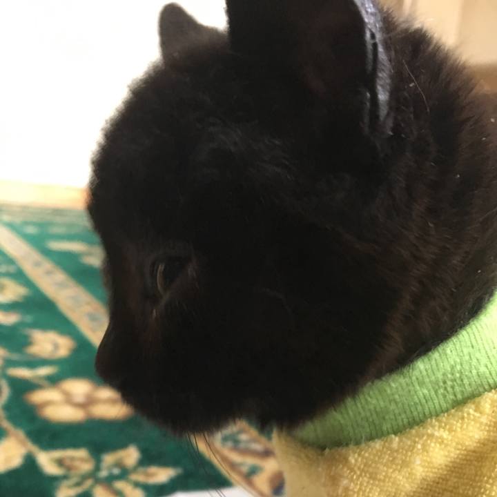 B5676cf7 c1b9 4418 8f67 c12e66bb3592