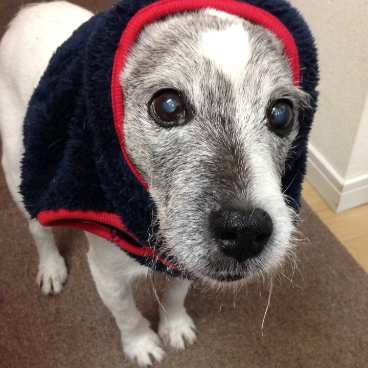 B5688271 5524 4d8a 86dc 0a1a961ce9b9