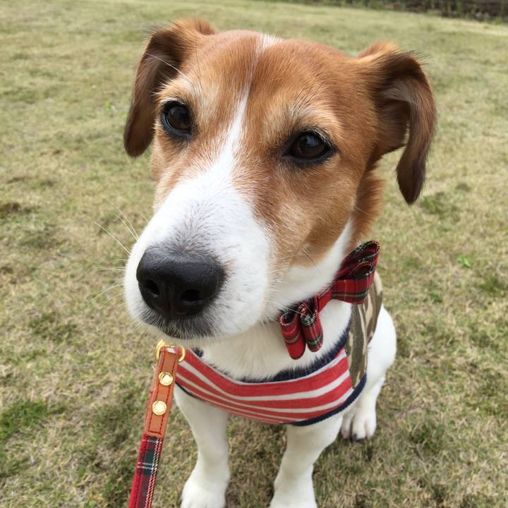 B568f704 863f 4ec3 b8a2 c308ace5980e