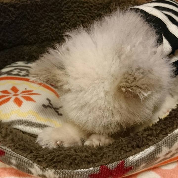 B5694098 7567 4bfb b357 d96e3c44e5c2