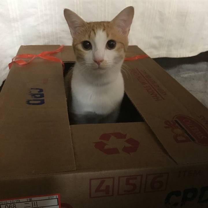 B569cd48 fdf9 4c07 a943 33adc535e66d