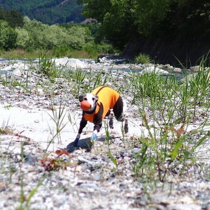 B569d531 9621 458e 94cd 45c0618c63d8