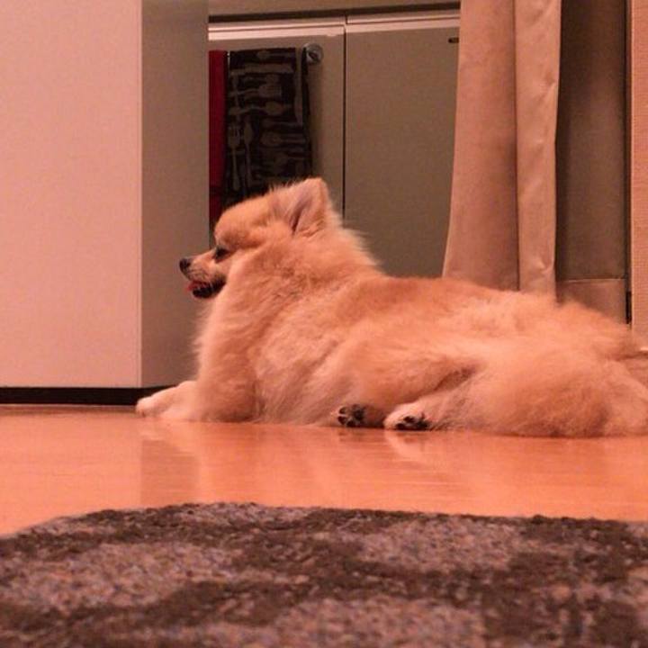 B56a50db 45e5 4b63 9767 c8505678d787