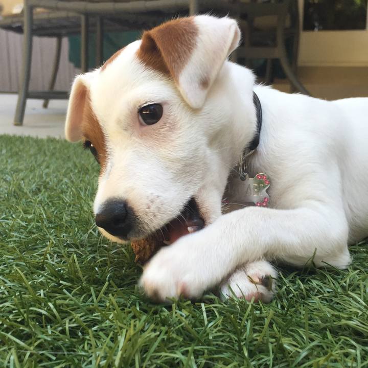 B56ab001 28bb 436e 9fb2 4d33a0201ef8