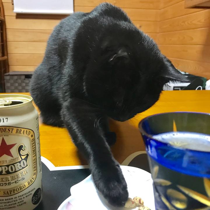 B56abb64 2b06 497d a6d7 77ee08f8750a