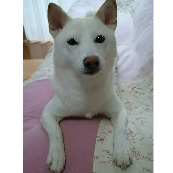 B56adb8d 723d 48ba bf3f fb1559e68787