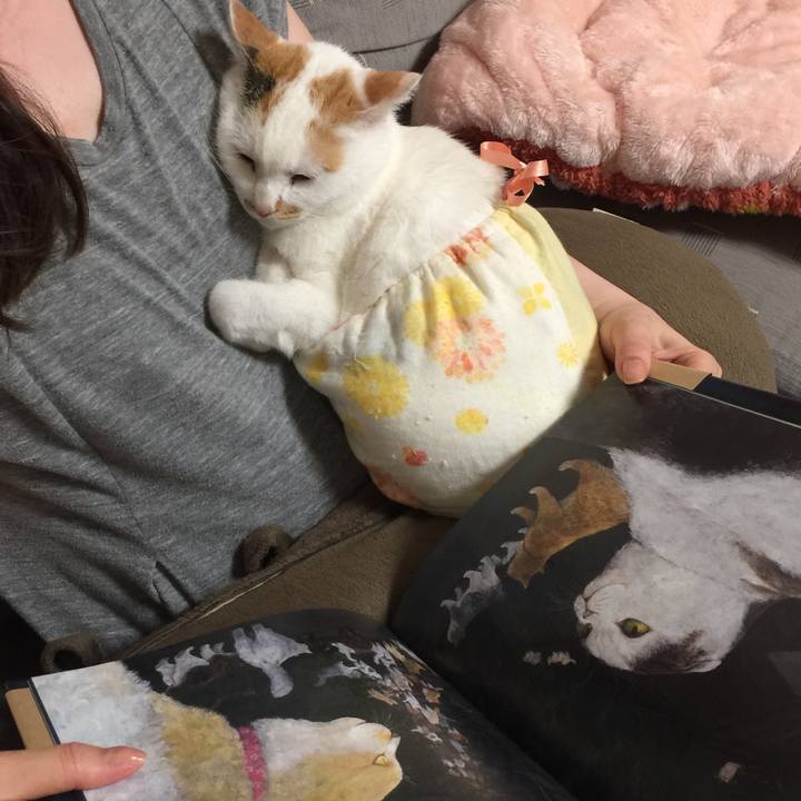 B56b230a 3f62 42c1 8a29 552f1dd140d6