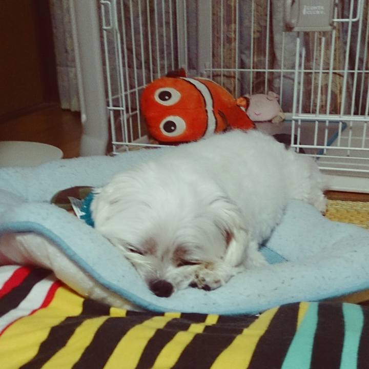 B56b7fdc 7e08 459d 90b3 ead9e9daee23