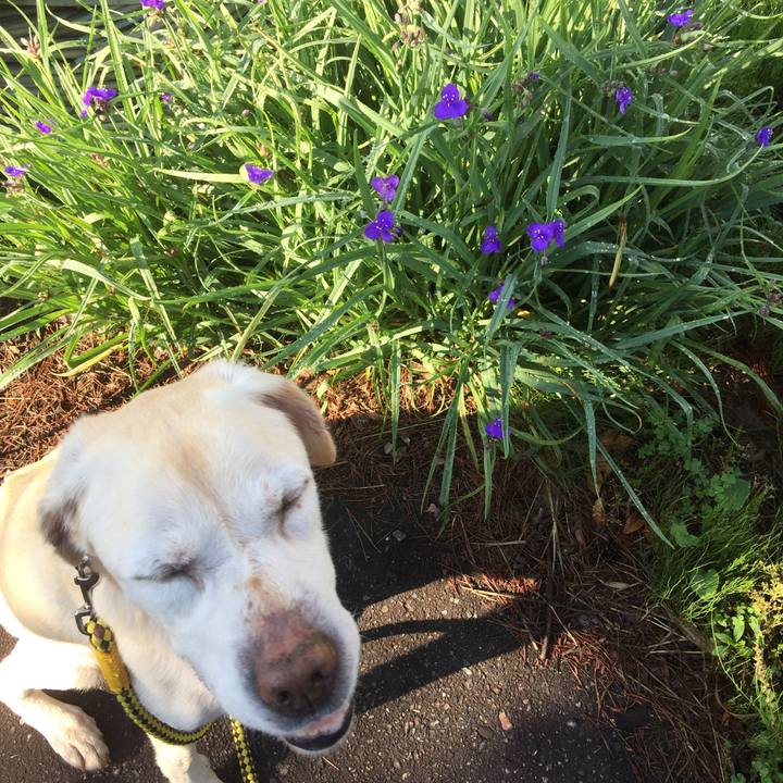 B56b9adf 6a50 4fe5 93bf 40ad462105dd