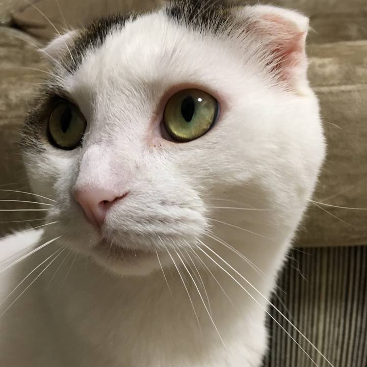 B56bde79 68df 41a2 9fd8 70895edbdb07