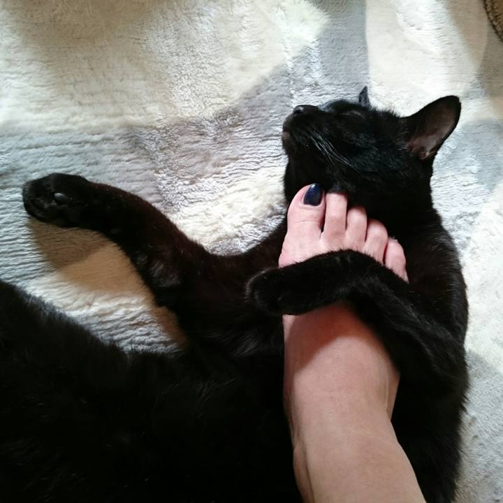 B56bed46 babe 44cb b1cd 91db207c7e1d