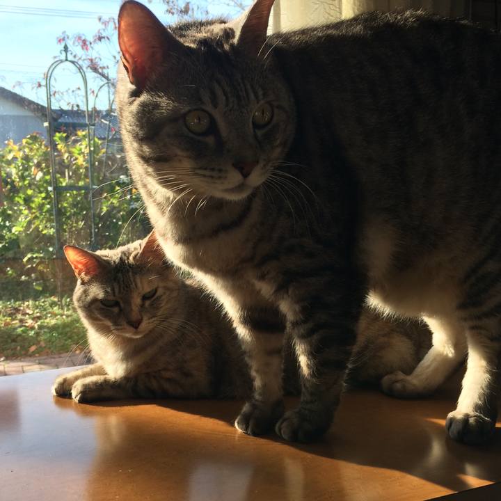 B56cecb9 6d44 4f20 b44a dcd2355c0008