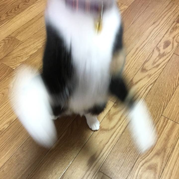 B56cf0ef 5a03 43ca 95a1 6c59341378b9