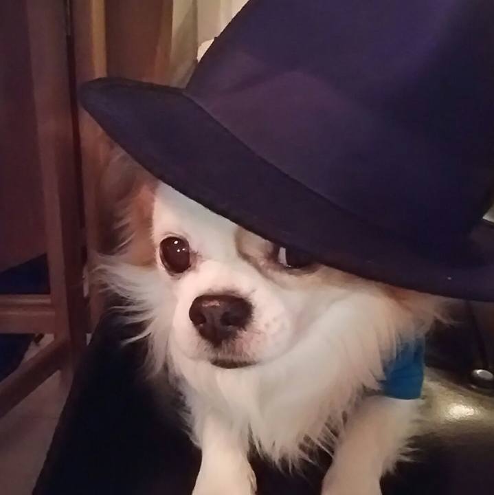 B56dfece 45de 4d62 a5ce 6f93f97b4f59