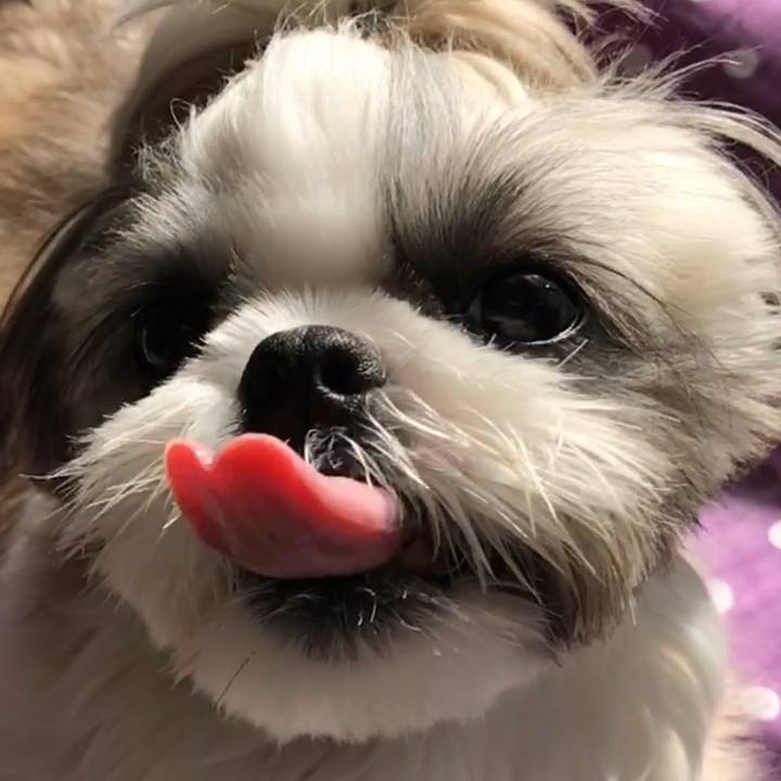 B56e114e d880 43c9 bd03 c674a9b43f8d