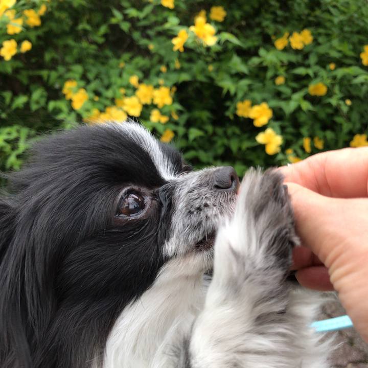 B56e35b1 df6e 40f0 8872 bc64bb853d9f