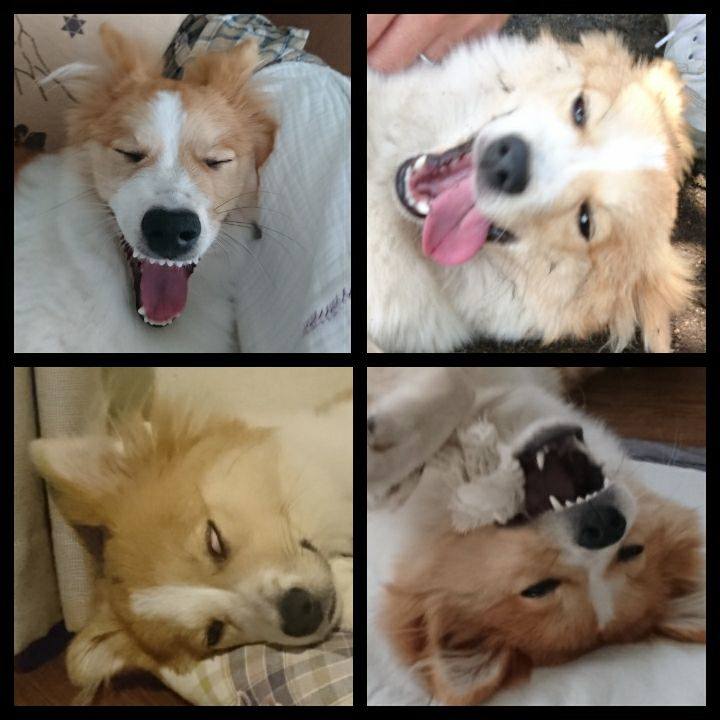 B56f21bd 6f68 46e8 ae8b 3fb6351ba90c