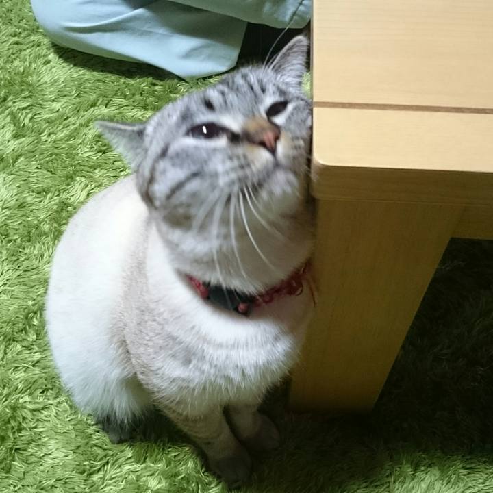 B56fa5e3 4a34 4d1d b2ee bb5278879b82