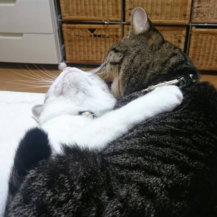 B56ff79e 1c96 4691 9204 d65c8a6d3609