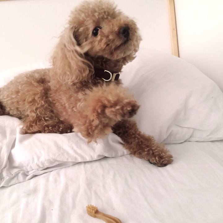 B5706020 77b4 4fdd 9e52 7f87444c09e5