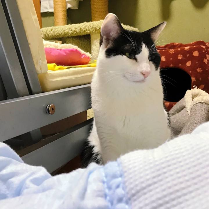 B570a288 e9e6 4f6b a0ea 9ba663ac0cf4