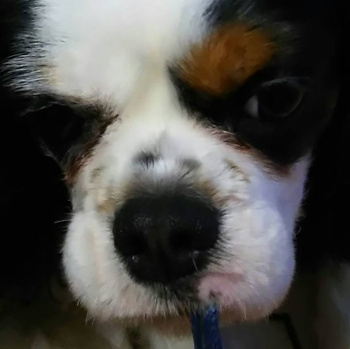 B571d334 bf81 4721 a52f d8b4328f3e57