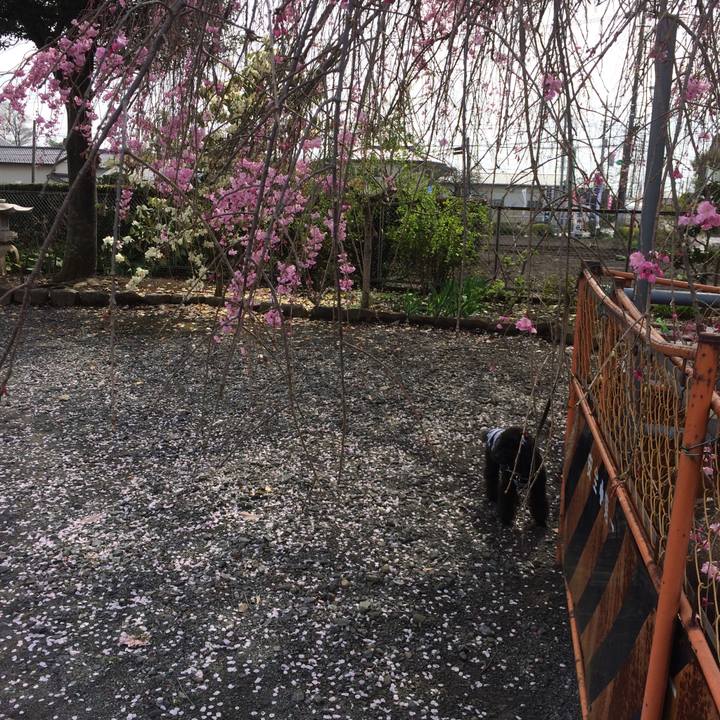 B572237f 2bce 45a6 9b7e 91d70595db30