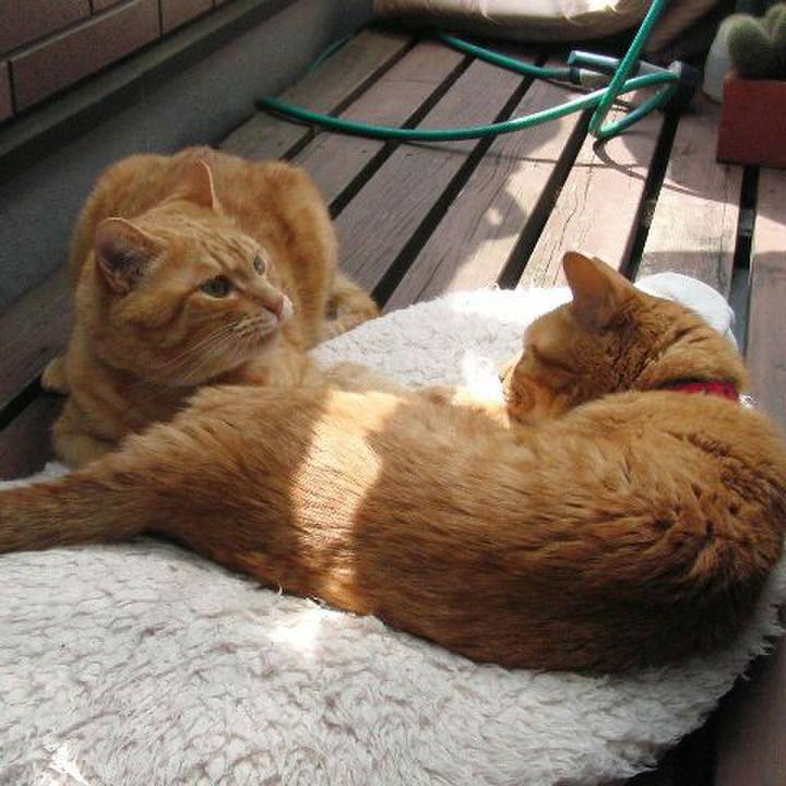 B572b457 b811 43f8 bf35 bc52b48fd6ff