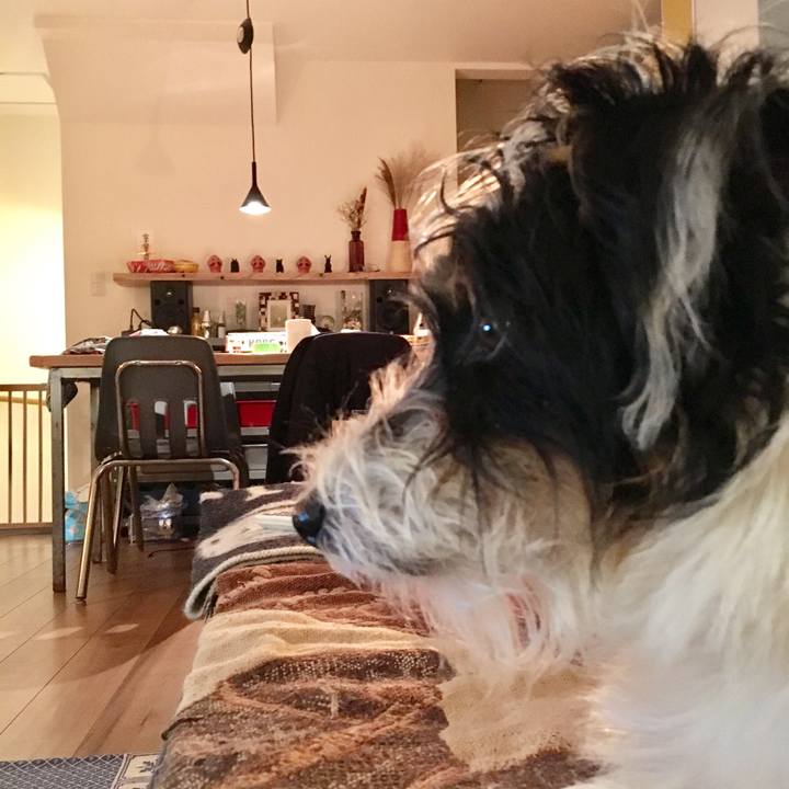 B572b7d9 e55d 4294 bc84 4ca8d2f3749e